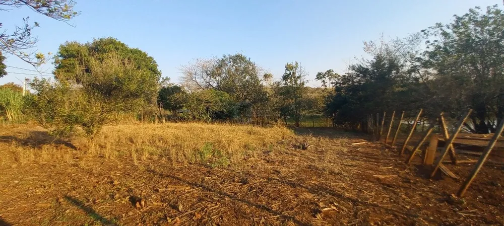 Chácara, 2 quartos, 6000 m² - Foto 7