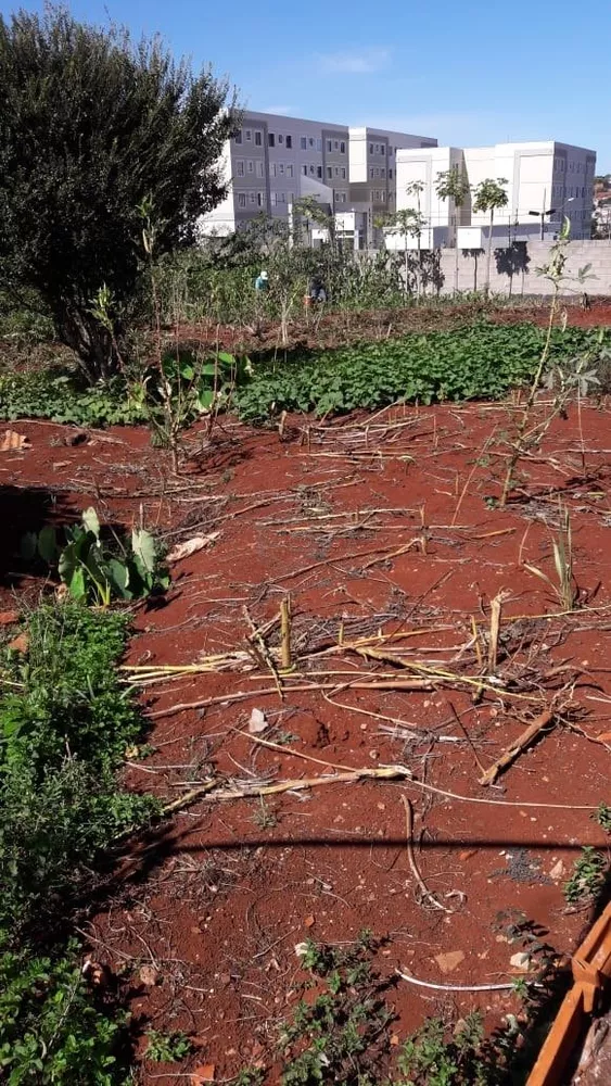 Terreno, 3032 m² - Foto 3