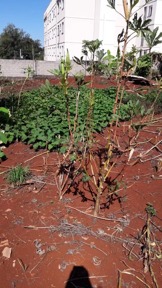 Terreno, 3032 m² - Foto 2