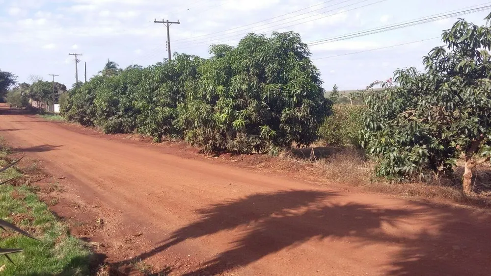 Chácara, 4 quartos, 2 hectares - Foto 10