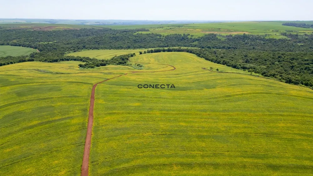 Fazenda, 373 hectares - Foto 5