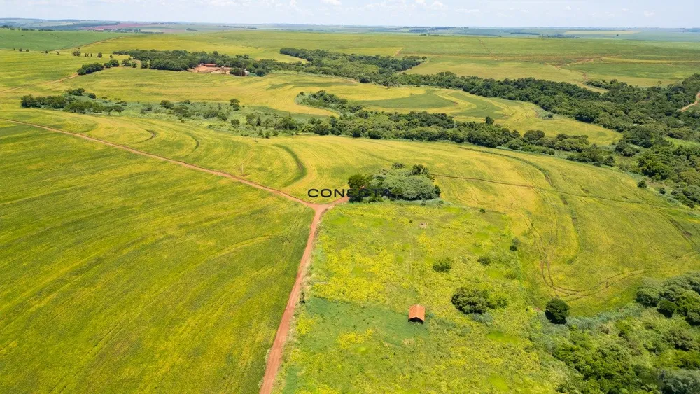 Fazenda, 373 hectares - Foto 3