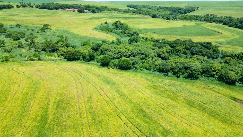 Fazenda, 373 hectares - Foto 6