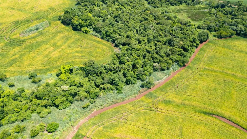 Fazenda, 373 hectares - Foto 4
