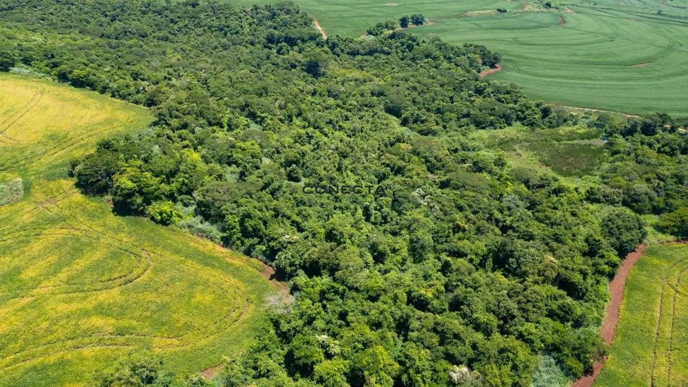 Fazenda, 373 hectares - Foto 8
