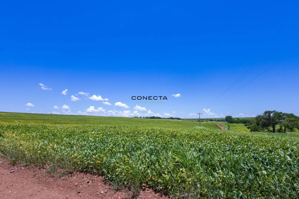 Fazenda, 373 hectares - Foto 7