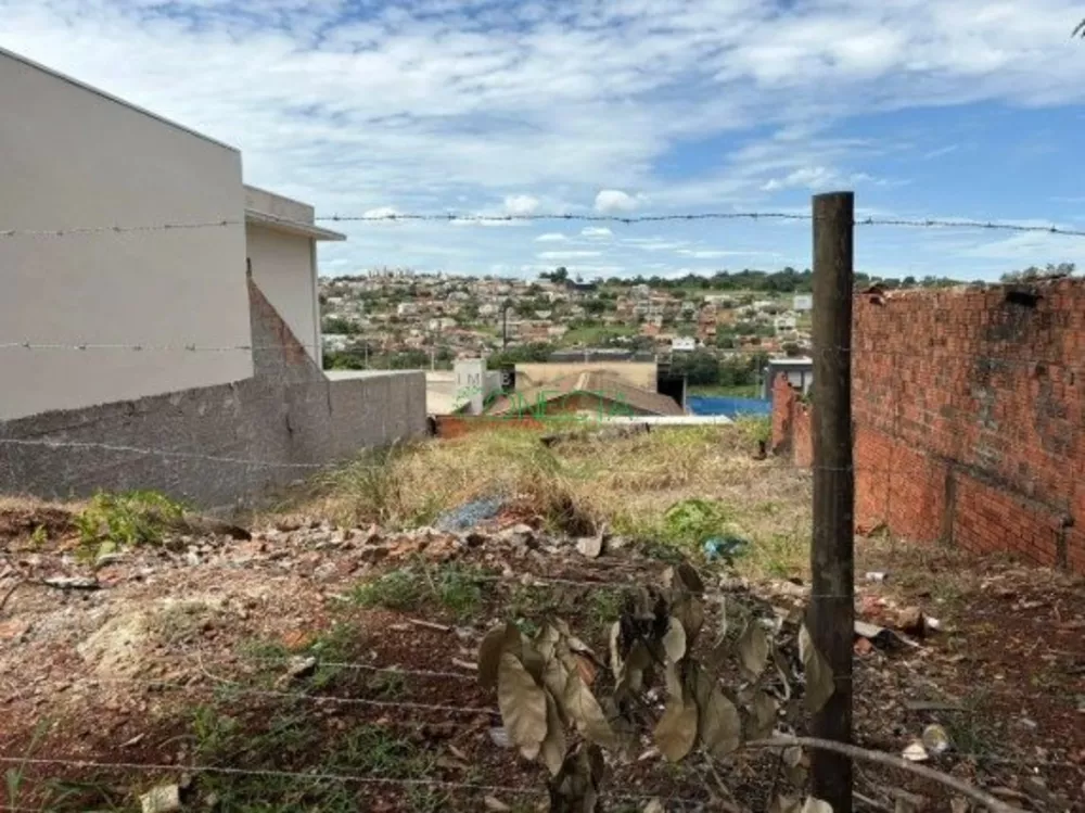 Terreno, 250 m² - Foto 3