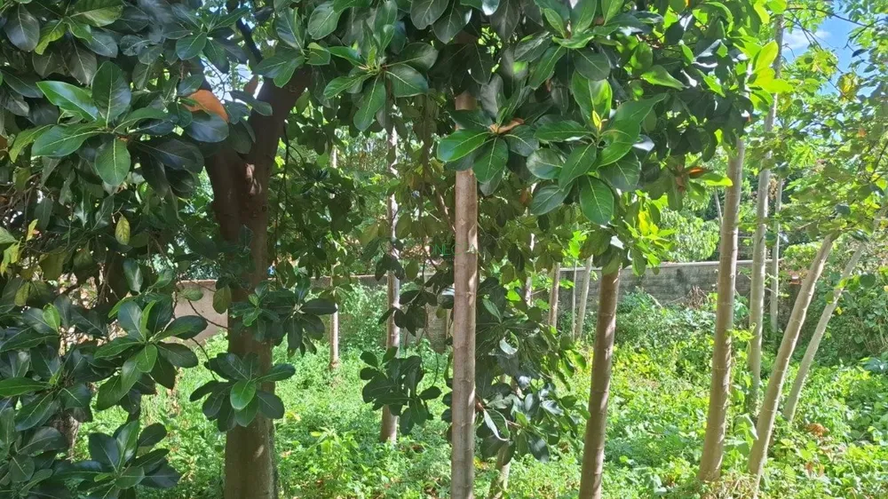 Casa, 3 quartos, 220 m² - Foto 16
