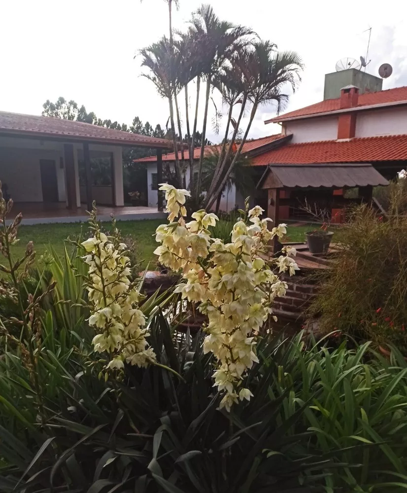 Chácara, 5000 m² - Foto 4