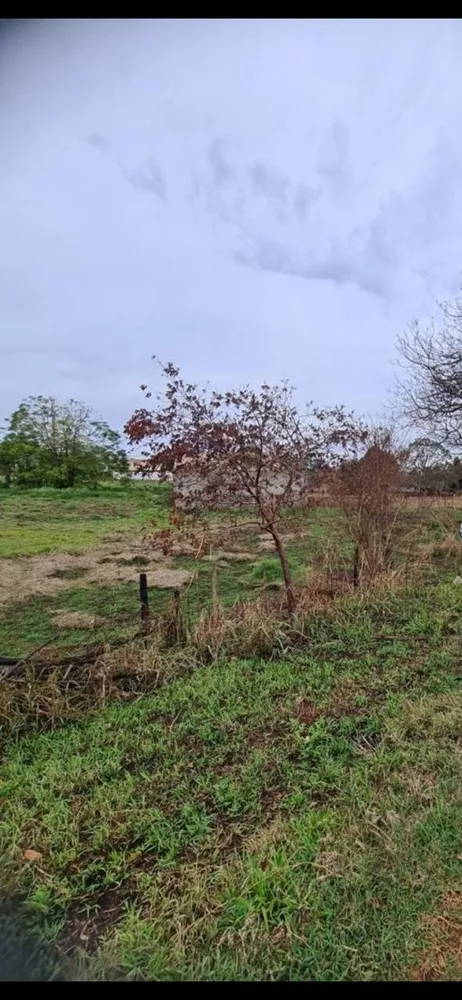 Terreno, 4032 m² - Foto 3