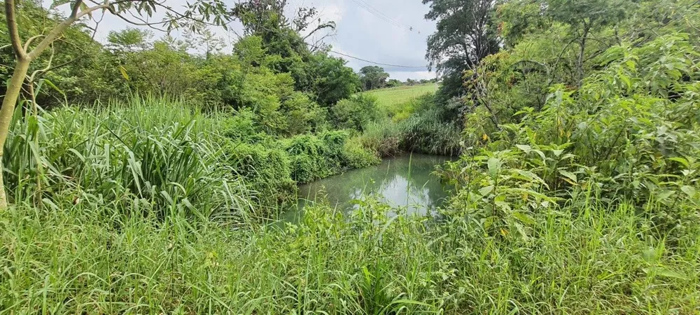 Chácara, 5825 m² - Foto 1