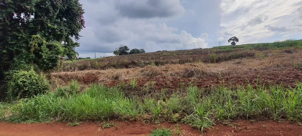 Chácara, 5825 m² - Foto 4