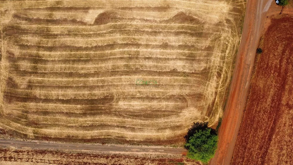 Chácara, 2 hectares - Foto 4