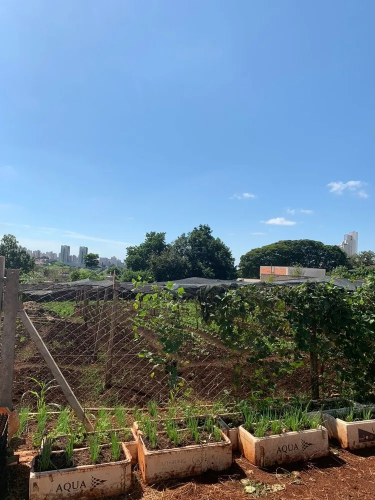 Terreno, 1300 m² - Foto 11