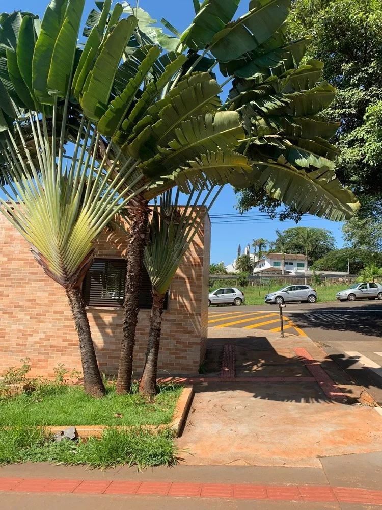 Terreno, 1300 m² - Foto 3