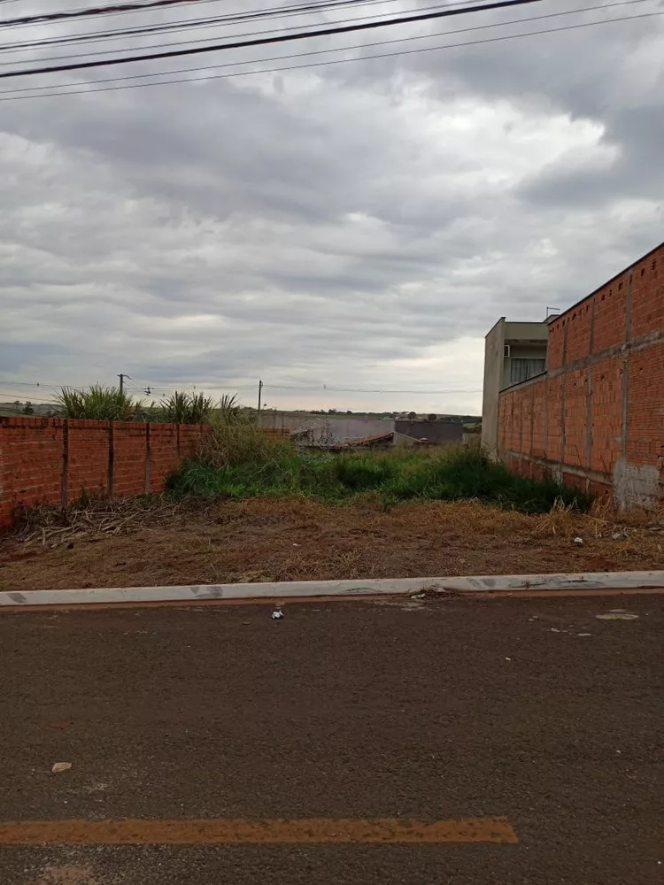 Terreno, 250 m² - Foto 2