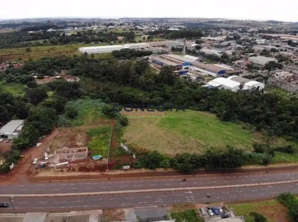 Terreno, 3 hectares - Foto 3