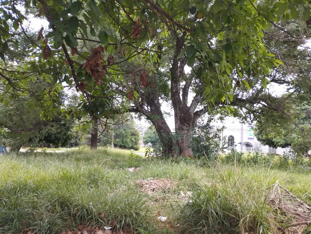 Terreno, 1027 m² - Foto 2