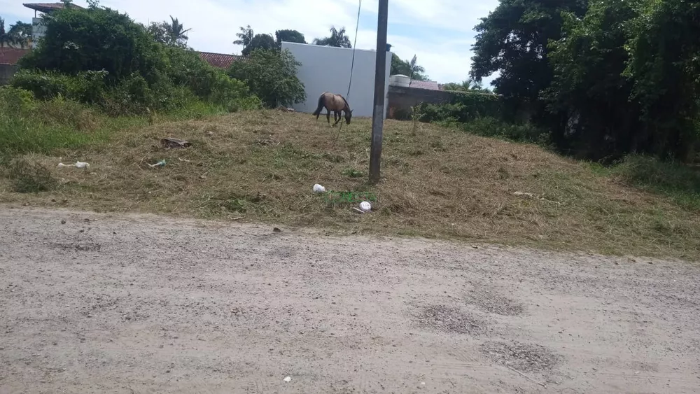 Terreno, 384 m² - Foto 1