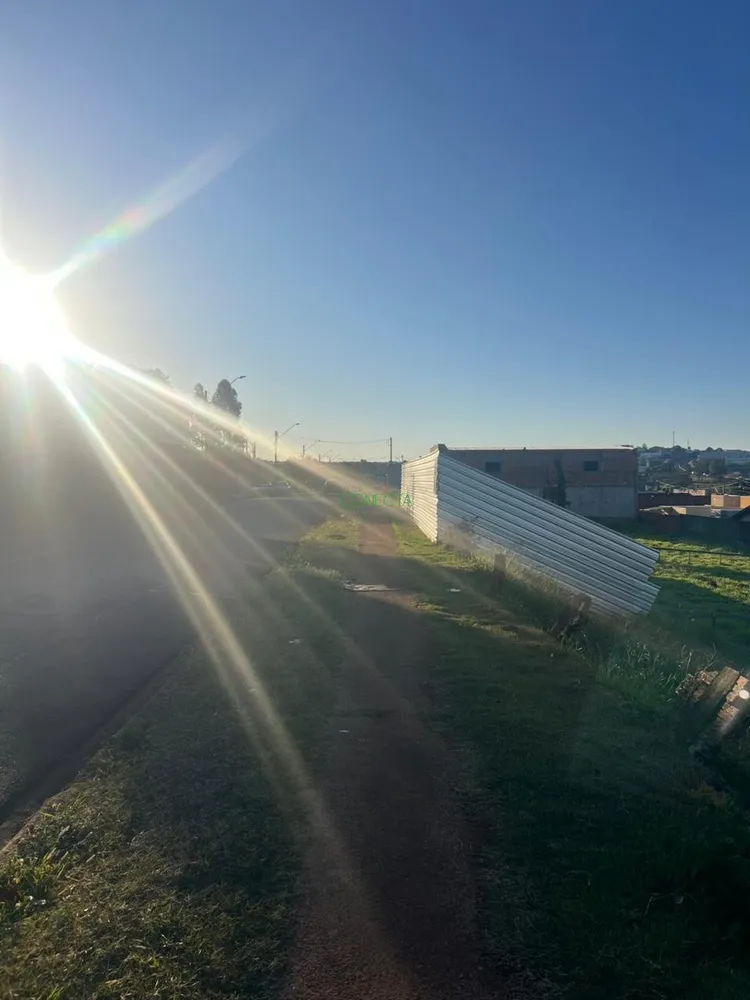 Terreno, 500 m² - Foto 4
