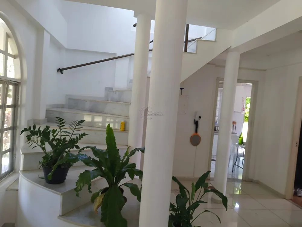 Chácara, 3 quartos, 5421 m² - Foto 4