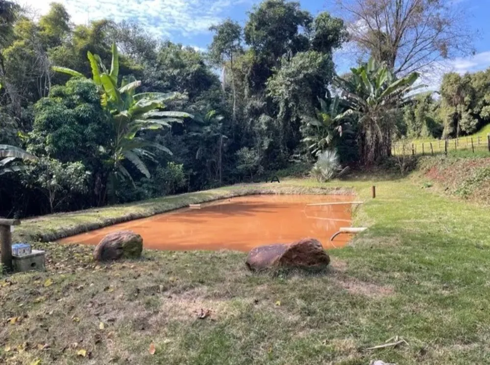 Chácara, 4 quartos, 5 hectares - Foto 5