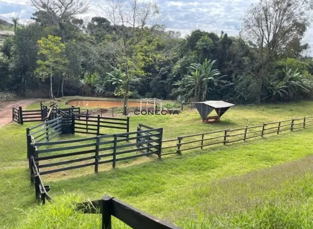 Chácara, 4 quartos, 5 hectares - Foto 1