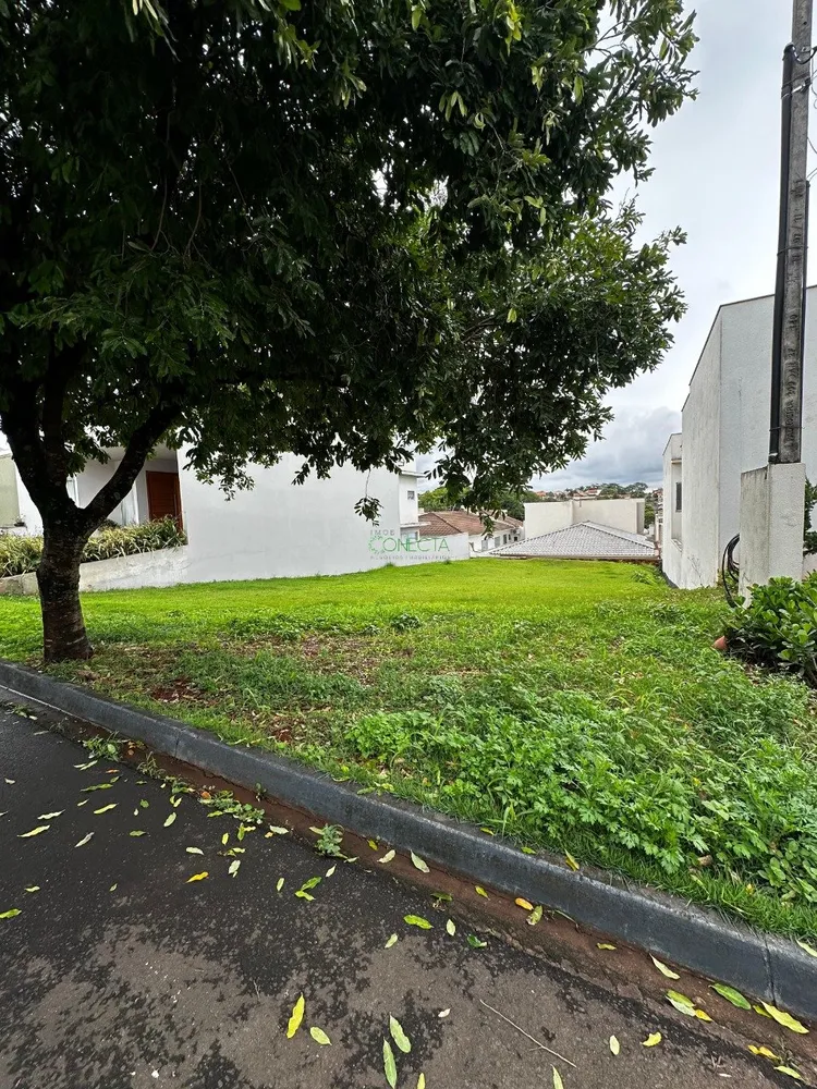 Terreno, 300 m² - Foto 4