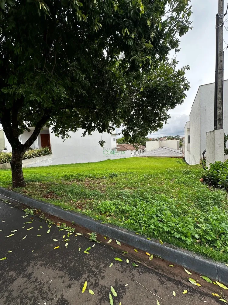 Terreno, 300 m² - Foto 4