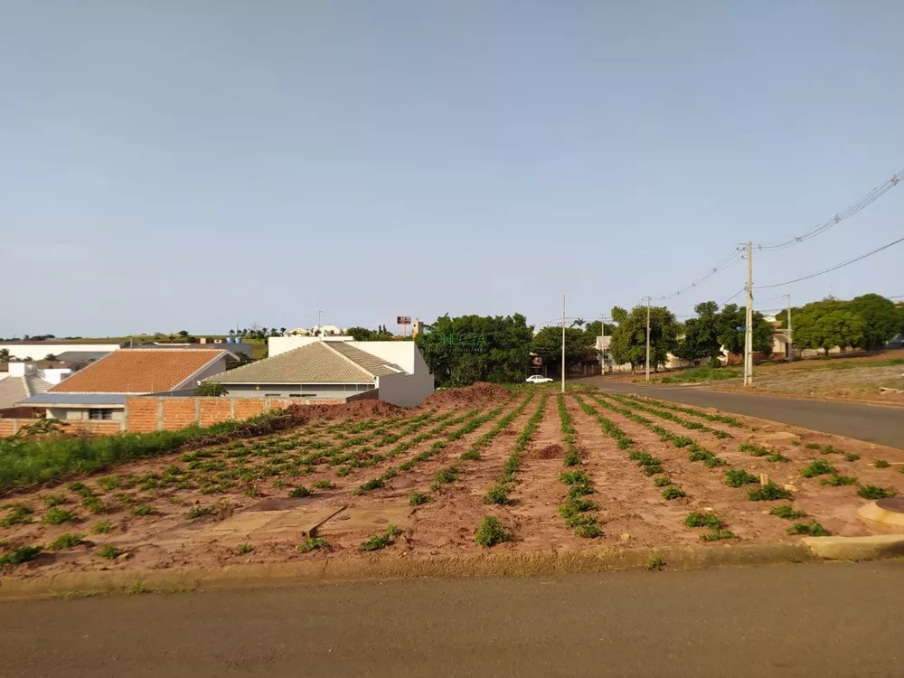 Terreno, 300 m² - Foto 2