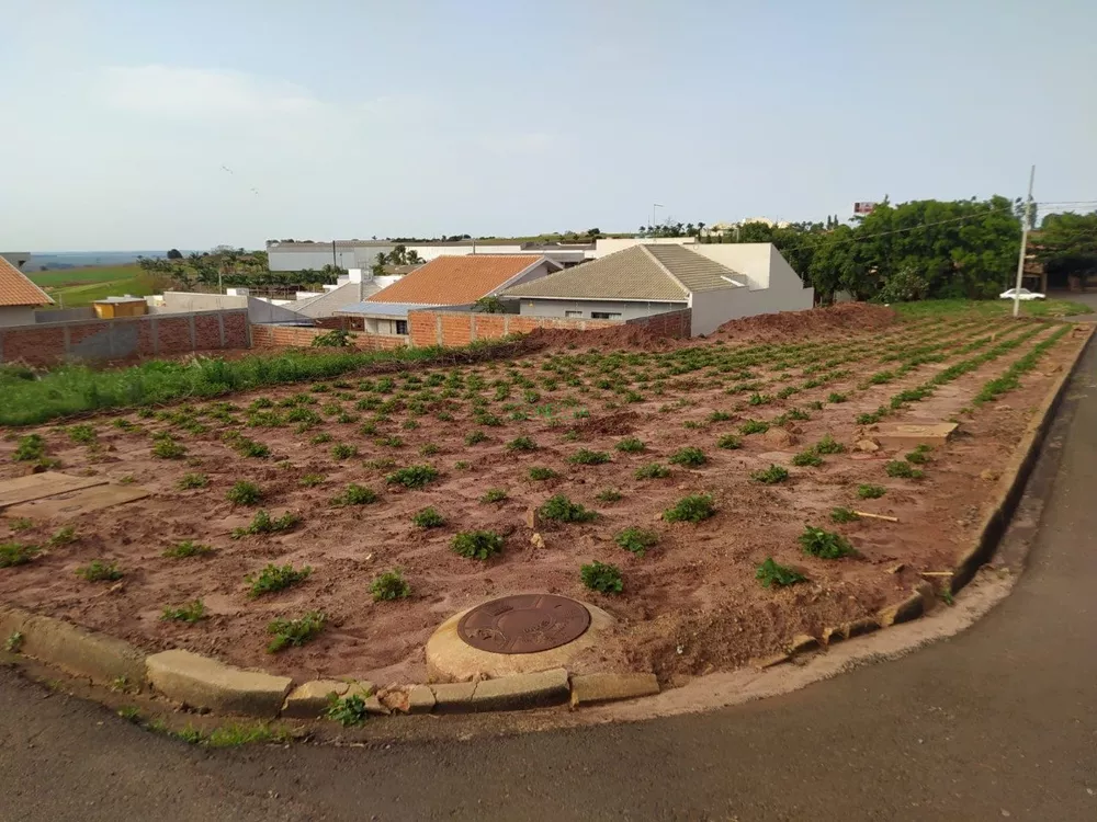 Terreno, 300 m² - Foto 1