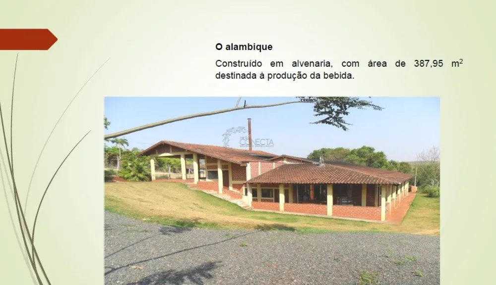 Chácara, 5 quartos, 5 hectares - Foto 9