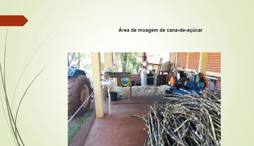 Chácara, 5 quartos, 5 hectares - Foto 10