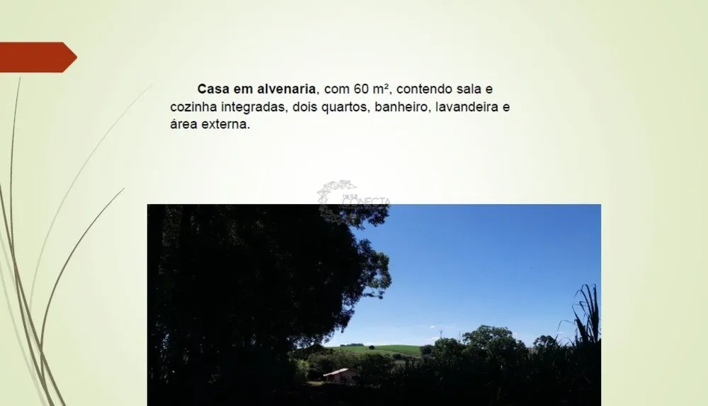 Chácara, 5 quartos, 5 hectares - Foto 12
