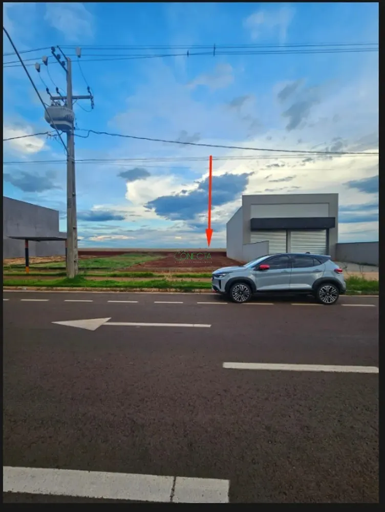 Terreno, 250 m² - Foto 1