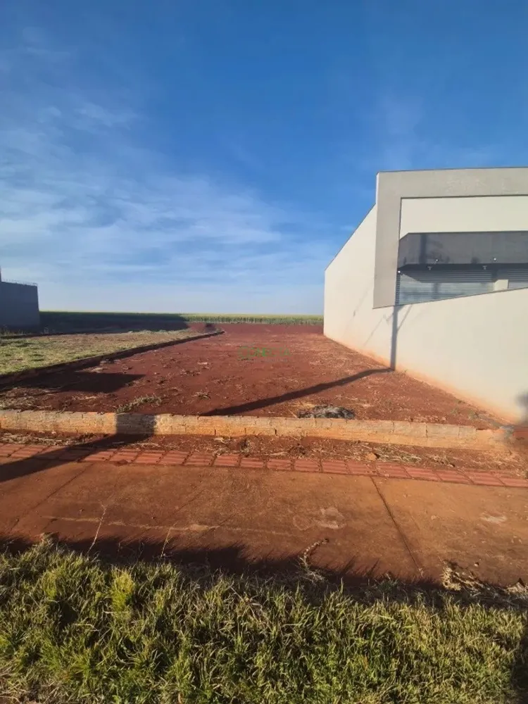 Terreno, 250 m² - Foto 3