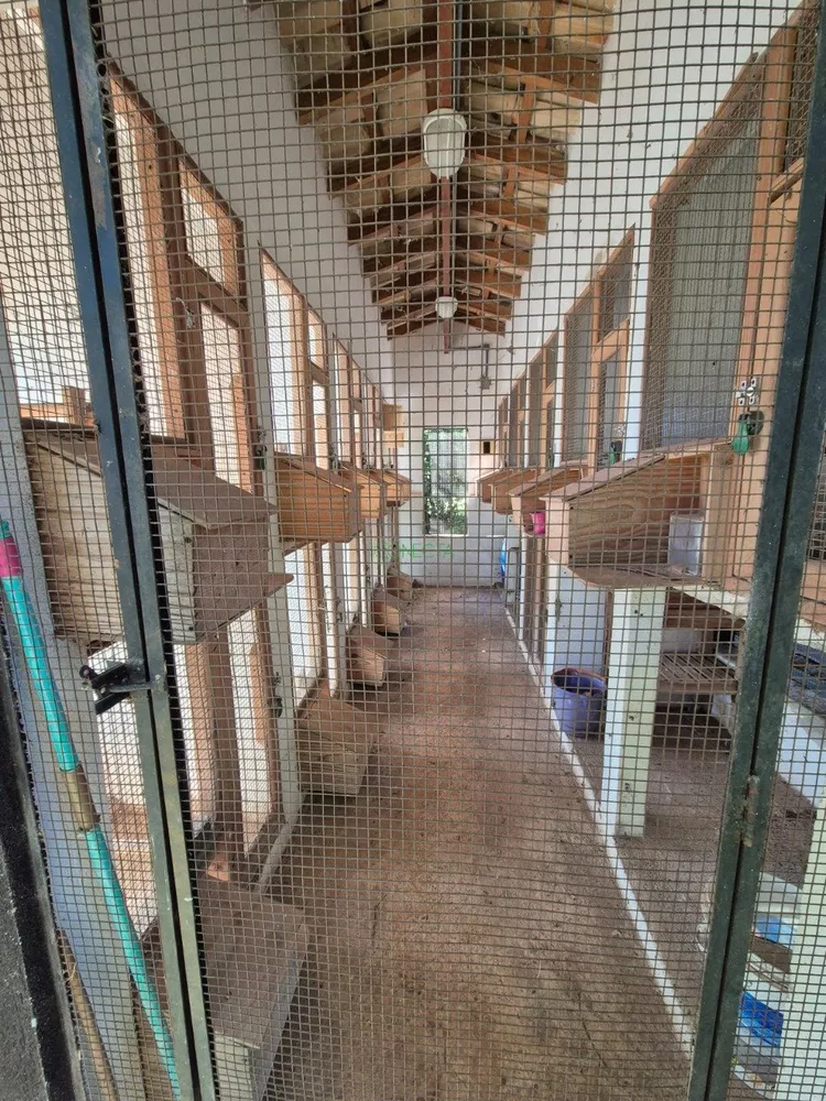 Chácara, 2 quartos, 3000 m² - Foto 2