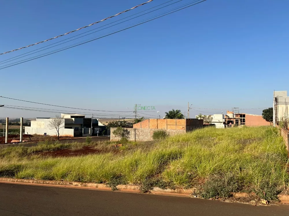 Terreno, 300 m² - Foto 1