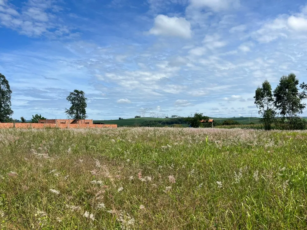 Terreno, 1000 m² - Foto 7