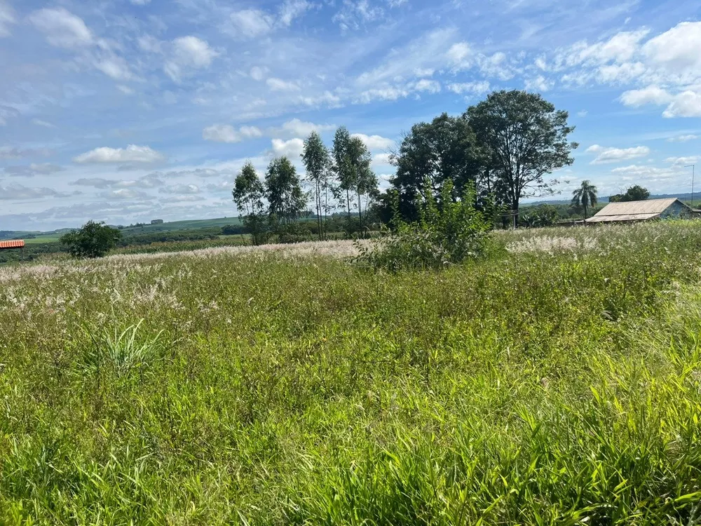 Terreno, 1000 m² - Foto 3