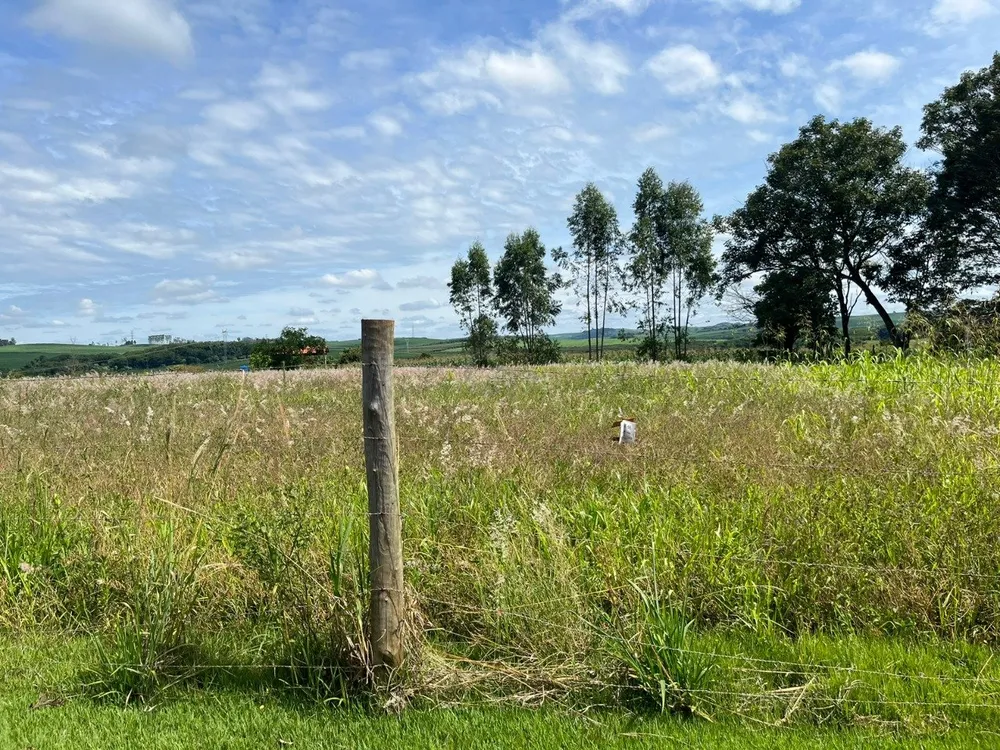 Terreno, 1000 m² - Foto 4