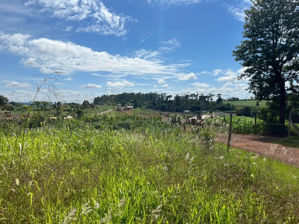 Terreno, 1000 m² - Foto 4