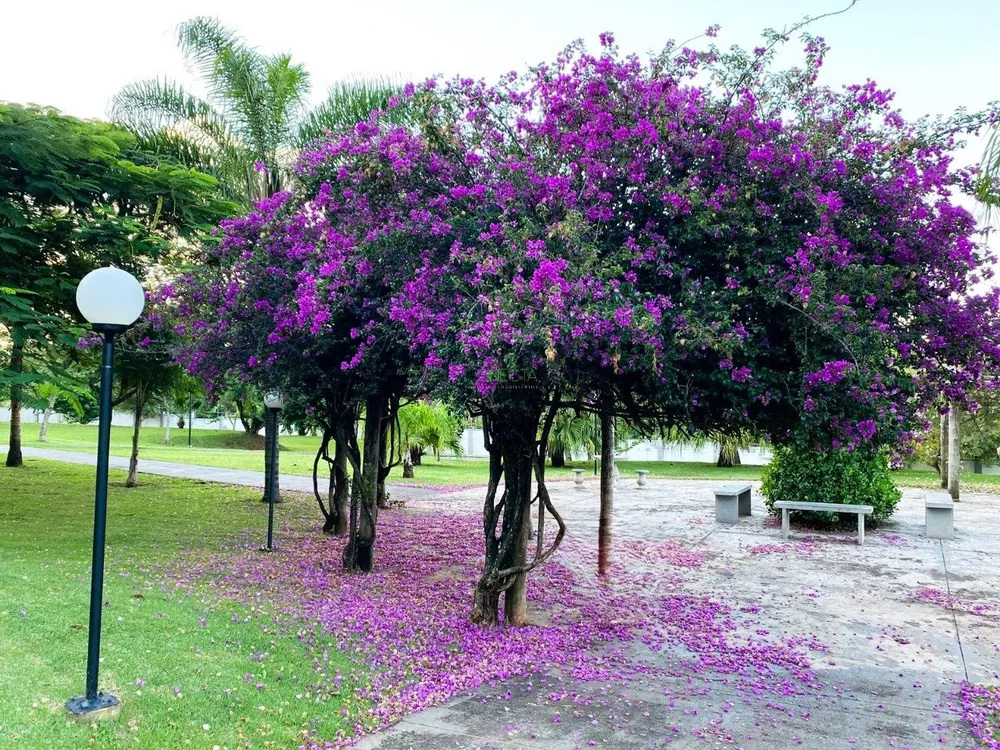 Apartamento, 2 quartos, 40 m² - Foto 4