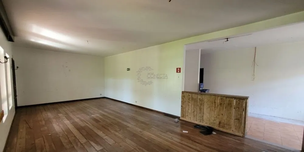 Casa, 4 quartos, 480 m² - Foto 8