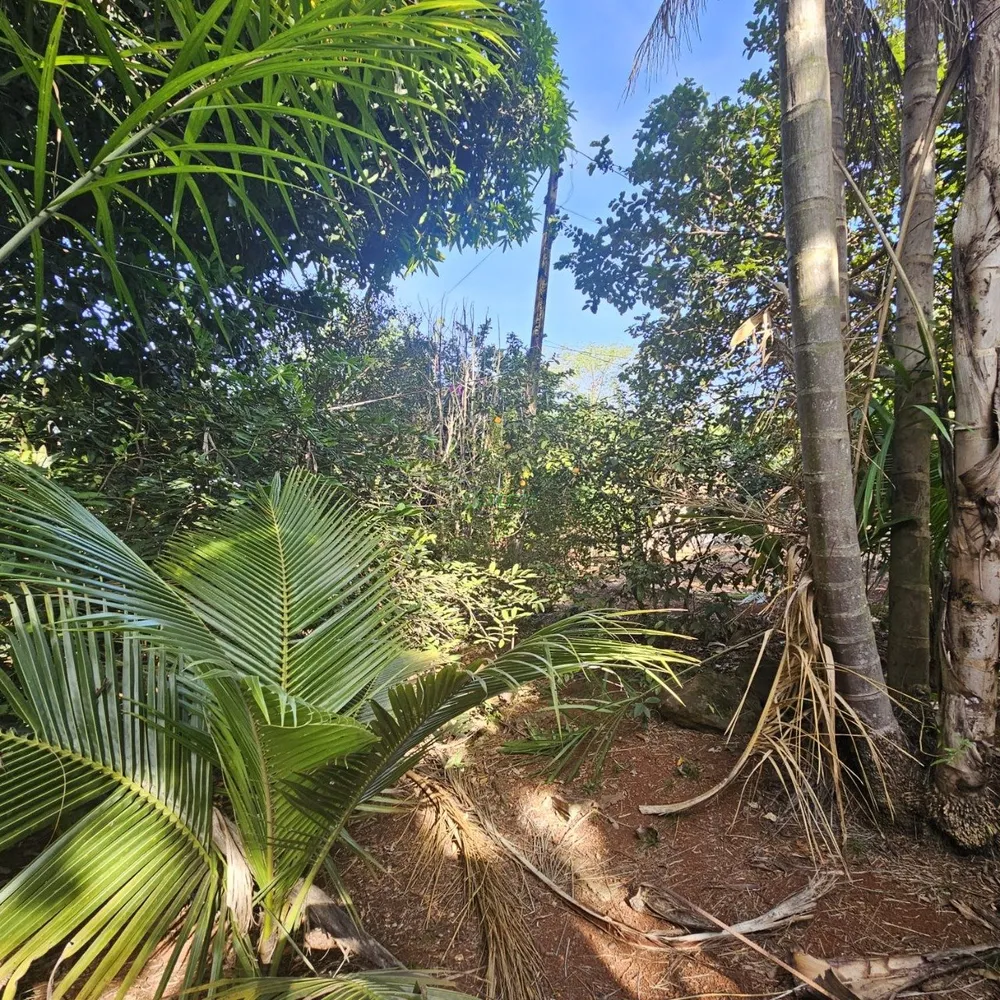 Chácara, 3 quartos, 2035 m² - Foto 14