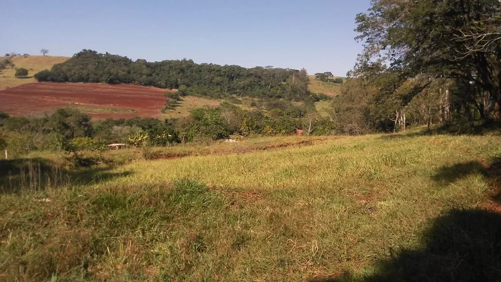 Sítio, 16 hectares - Foto 4