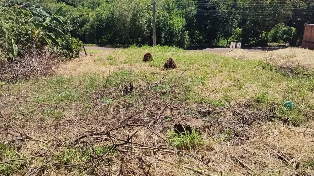 Terreno, 390 m² - Foto 3