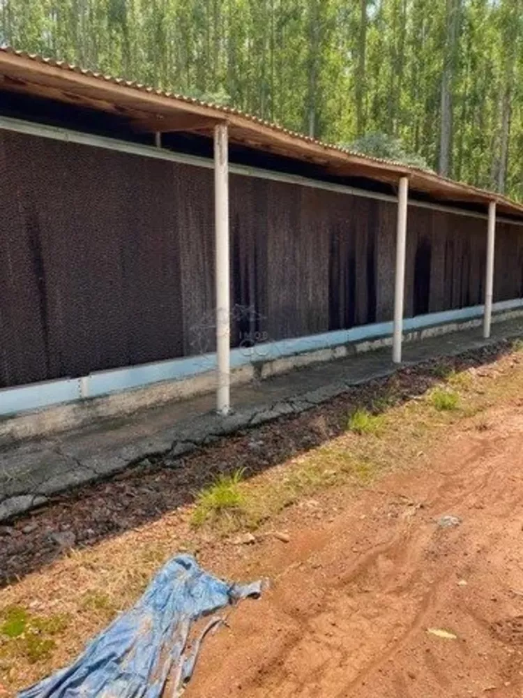 Fazenda, 4 hectares - Foto 2