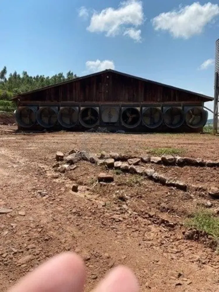 Fazenda, 11 hectares - Foto 9
