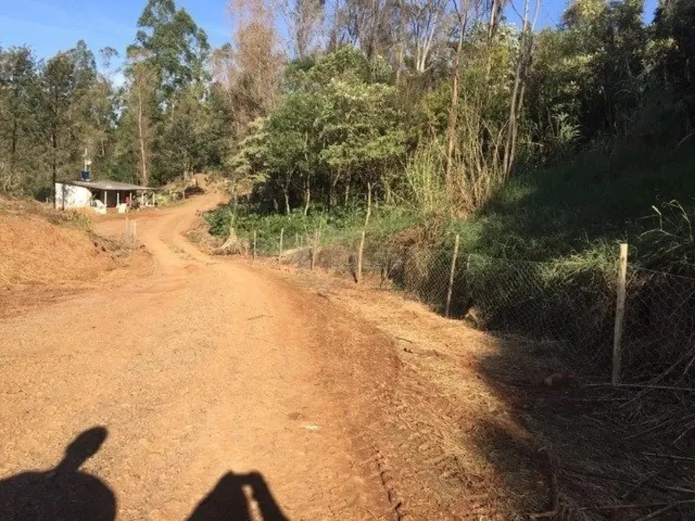Fazenda, 11 hectares - Foto 11